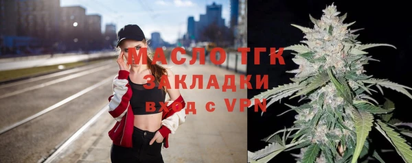 гашик Ельня