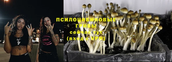ECSTASY Елизово