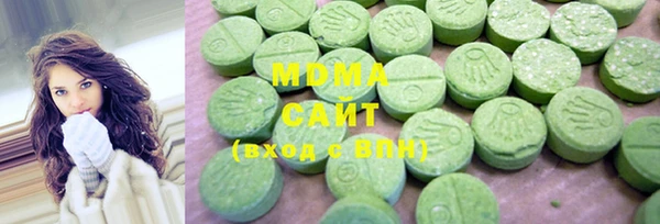 гашик Ельня