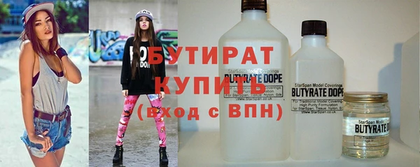гашик Ельня