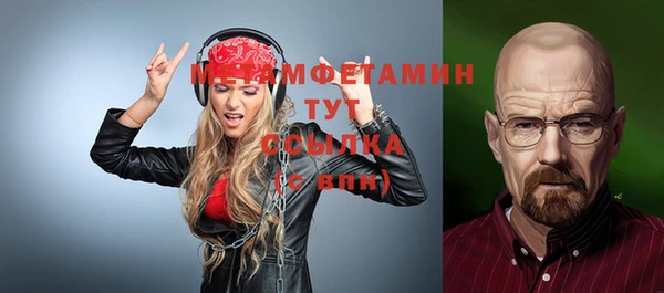 гашик Ельня