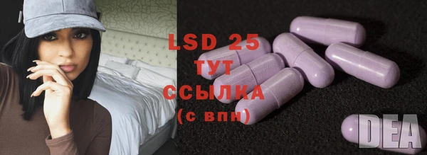 ECSTASY Елизово