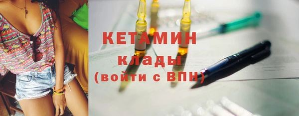гашик Ельня