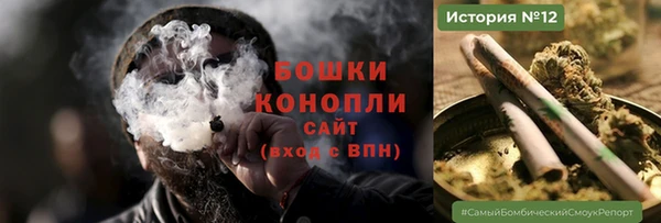 гашик Ельня