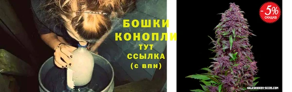 гашик Ельня
