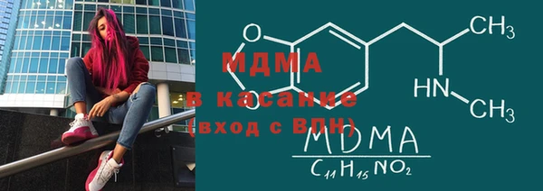 гашик Ельня