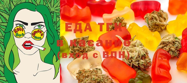 гашик Ельня