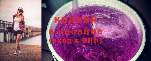 гашик Ельня