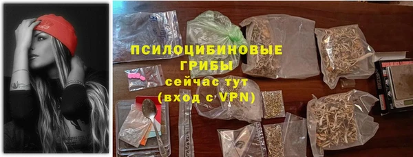 гашик Ельня