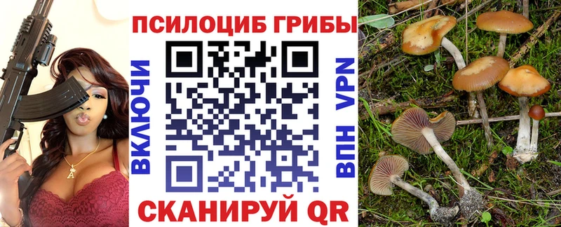Псилоцибиновые грибы GOLDEN TEACHER  Ивангород 